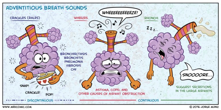 Rales, also Called Crackels - Medical Terminology Blog