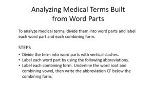 Teaching Medical Terminology with PowerPoint