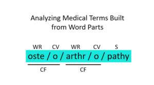 Teaching Medical Terminology with PowerPoint