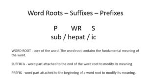 Medical Terminology and PowerPoint