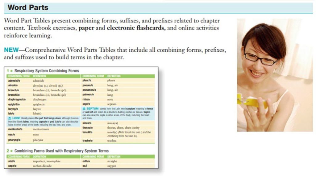 medical-terminology-3-word-parts-1400-medical-terminology-blog