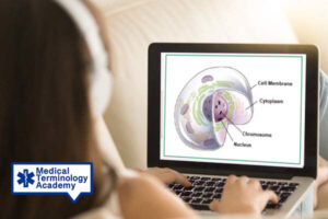 Online Medical Terminology Course