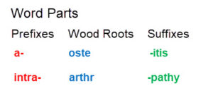 Why Study Medical Terminology and word parts online.