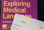 Medical Terminology Flashcards